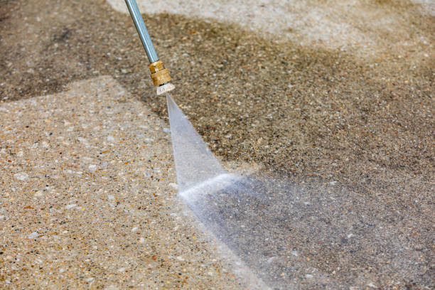 Best Roof Cleaning and Mildew Removal in Prosperity, WV
